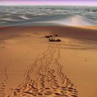 Desert de sable et de neige