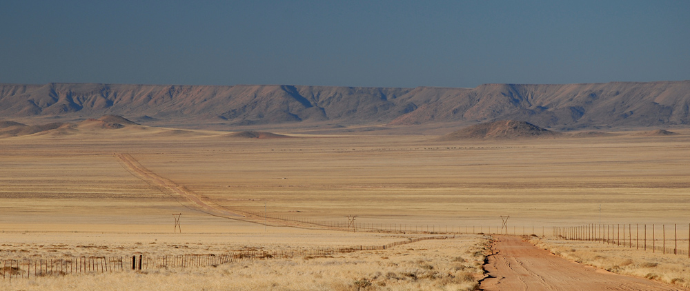 Desert Dirt Road.