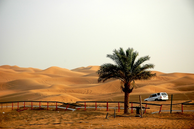 Desert Dreams Desert Dreams