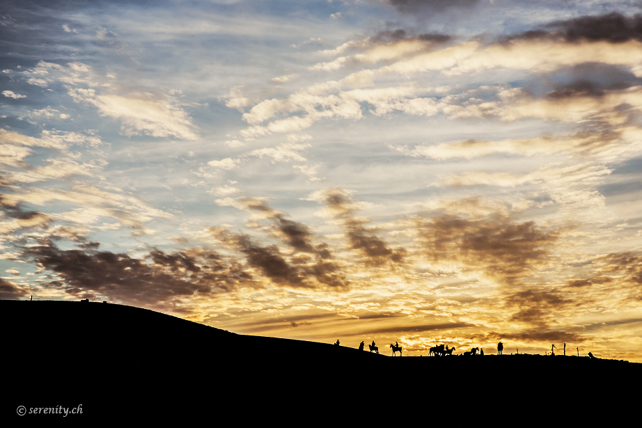 Desert Dreams Desert Dreams