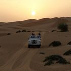Desert Drive