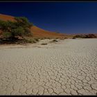 Desert dry