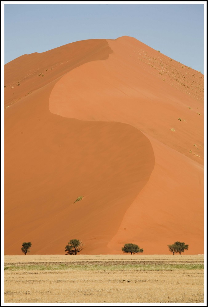 Desert du Namib