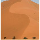 Desert du Namib