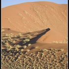 Desert du Namib