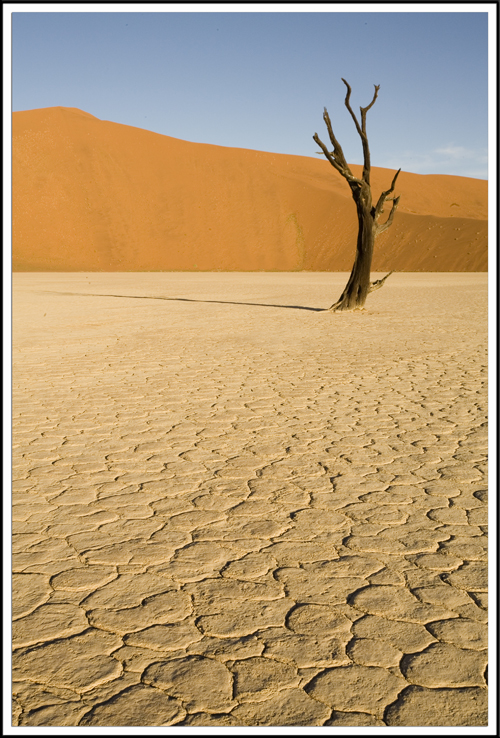 Desert du Namib, Deadvlei