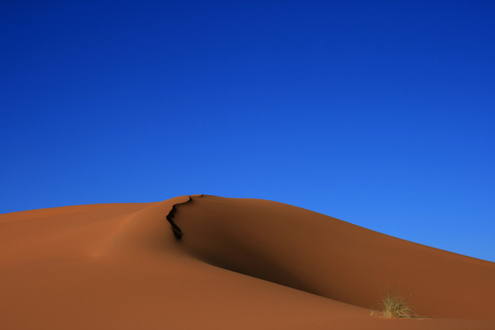 Desert Dune