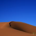 Desert Dune