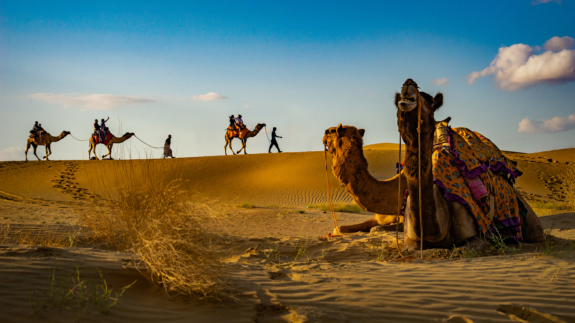 Desert Excursion