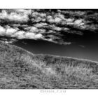Desert Grass And Sky 