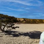 desert guide