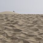 Desert II