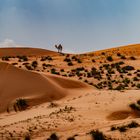 Desert im  Oman