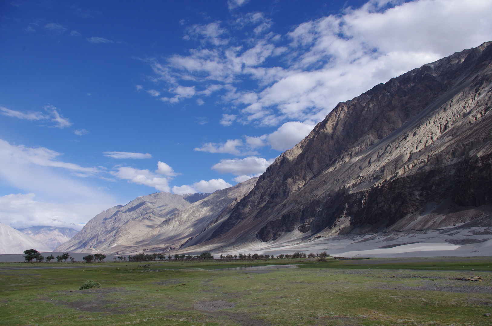 Desert in Nubra vally