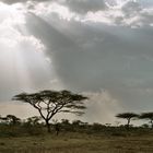 Desert in Tanzania