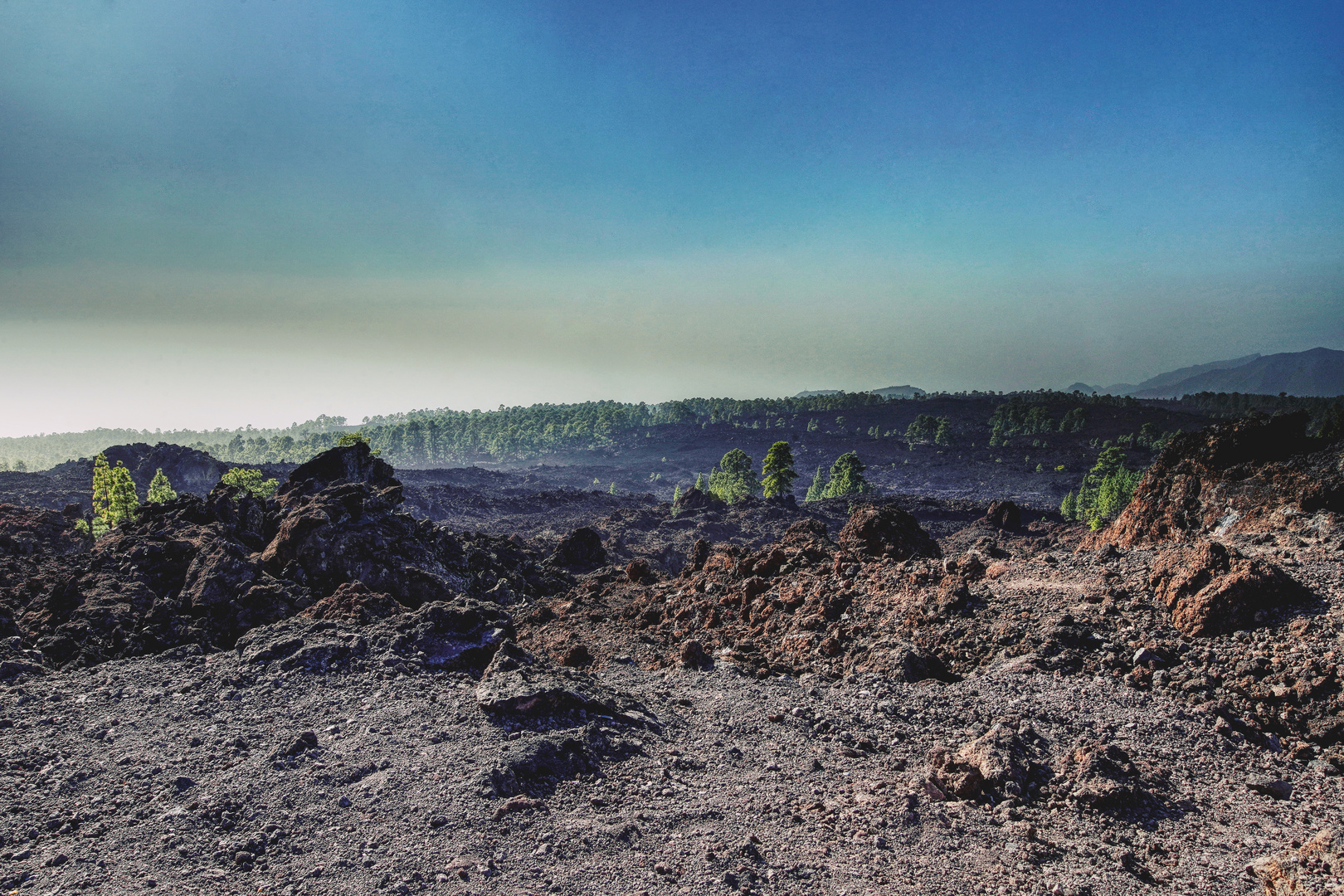 Desert in Tenerife 