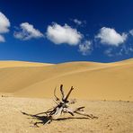 Desert in Venezuela