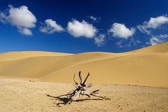 Desert in Venezuela