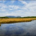 [ Desert Island Panoramic View ]