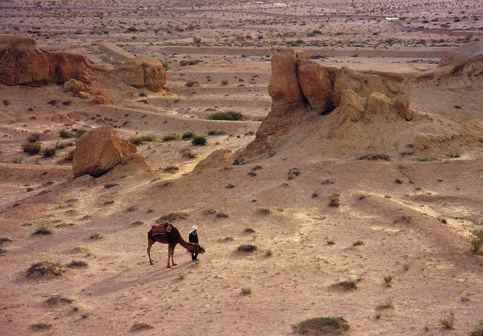 Desert Land