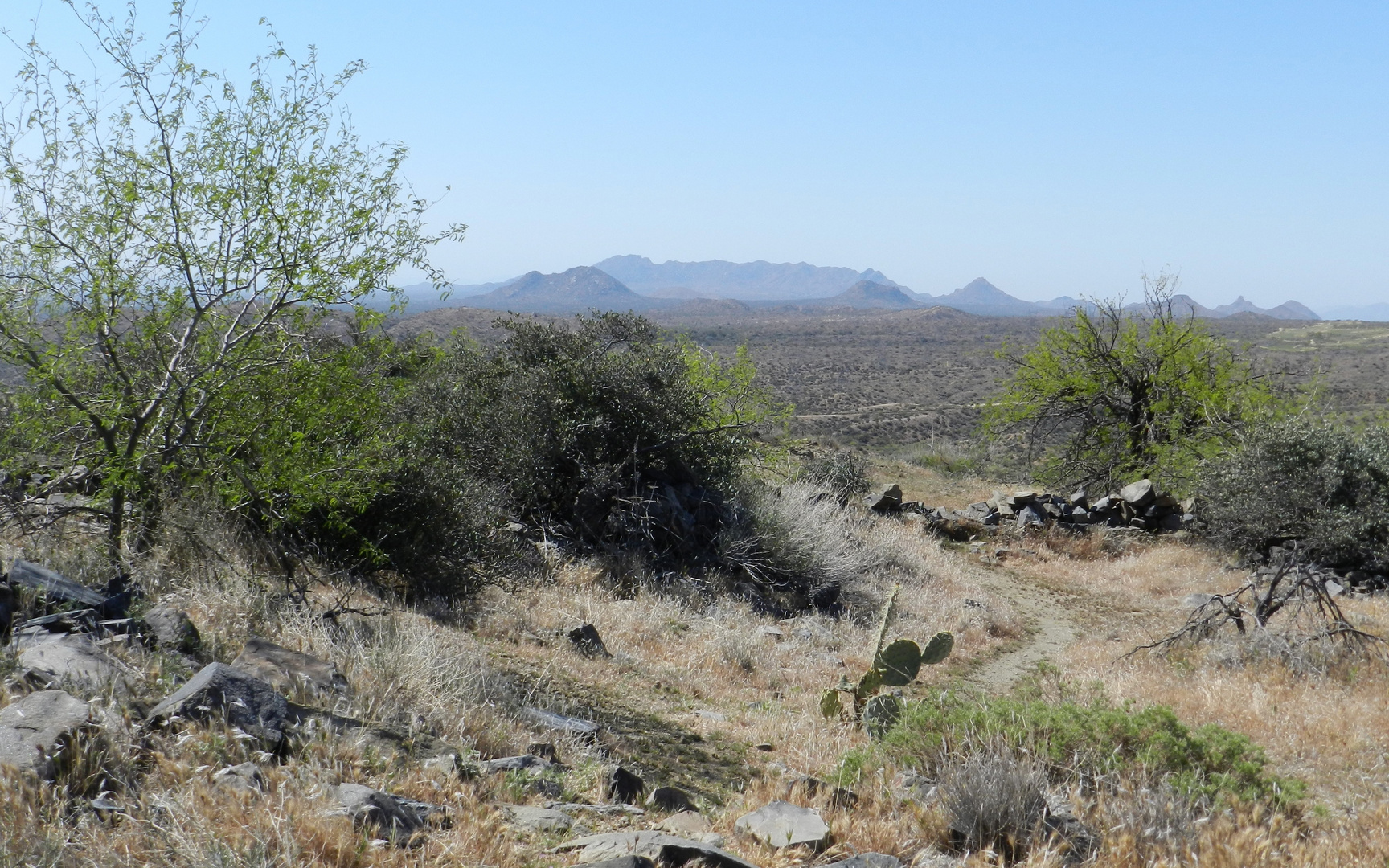 Desert Landscape