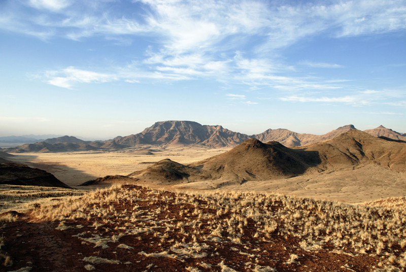 desert landscape I
