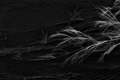 desert: 'leaves of grass'