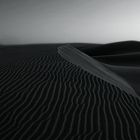 Desert lines