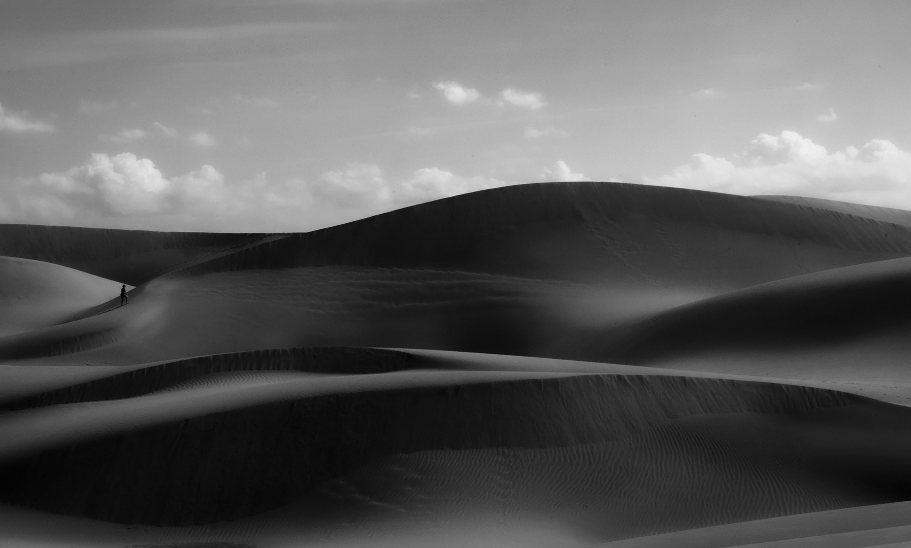 Desert lines