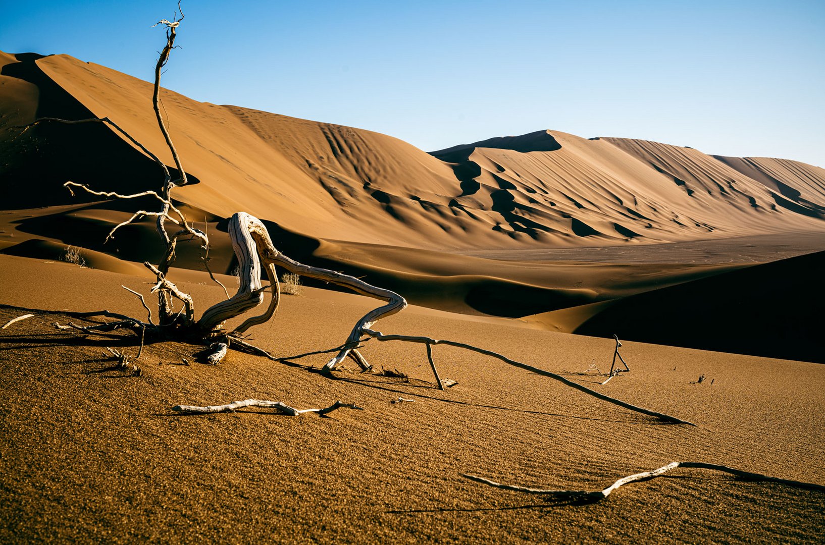 Desert Lut, Iran