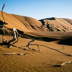 Desert Lut, Iran