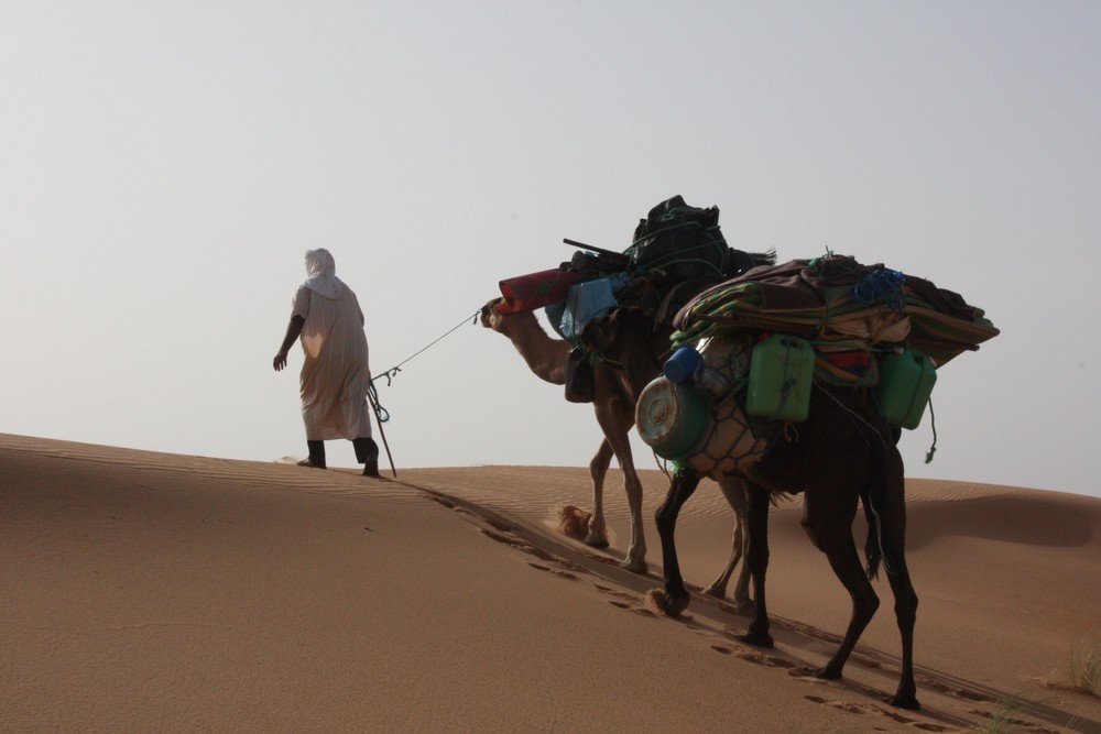 Desert Maroc