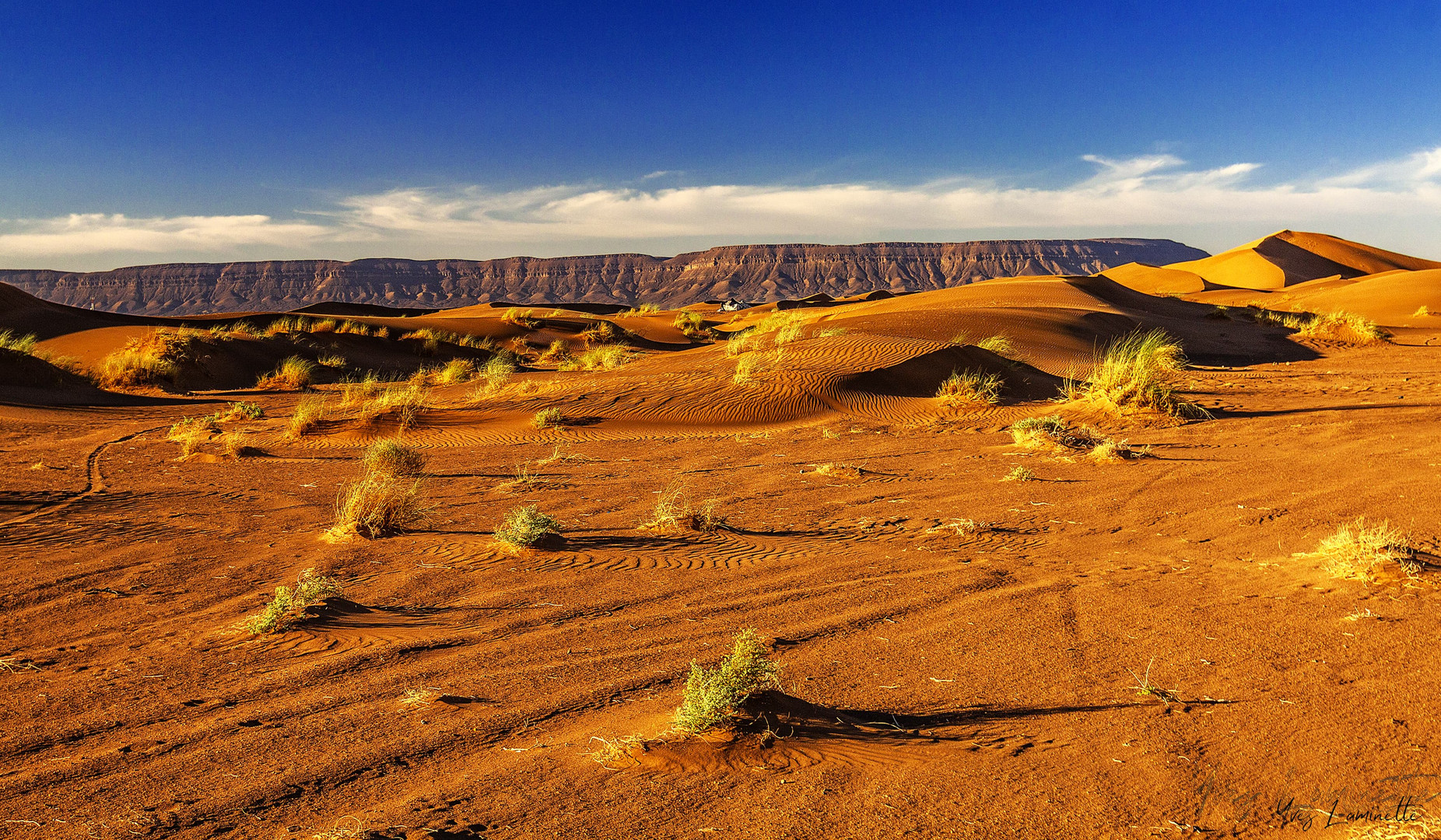 Désert marocain