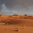 Desert Marocain