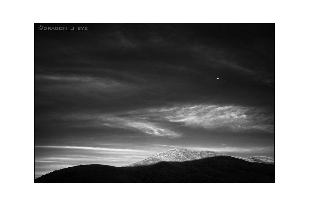 Desert Moon 
