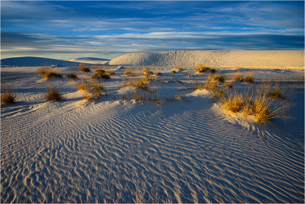 Desert Morning