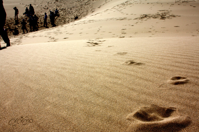 desert of maranjab