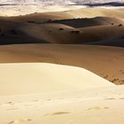 desert of marenjab in Iran