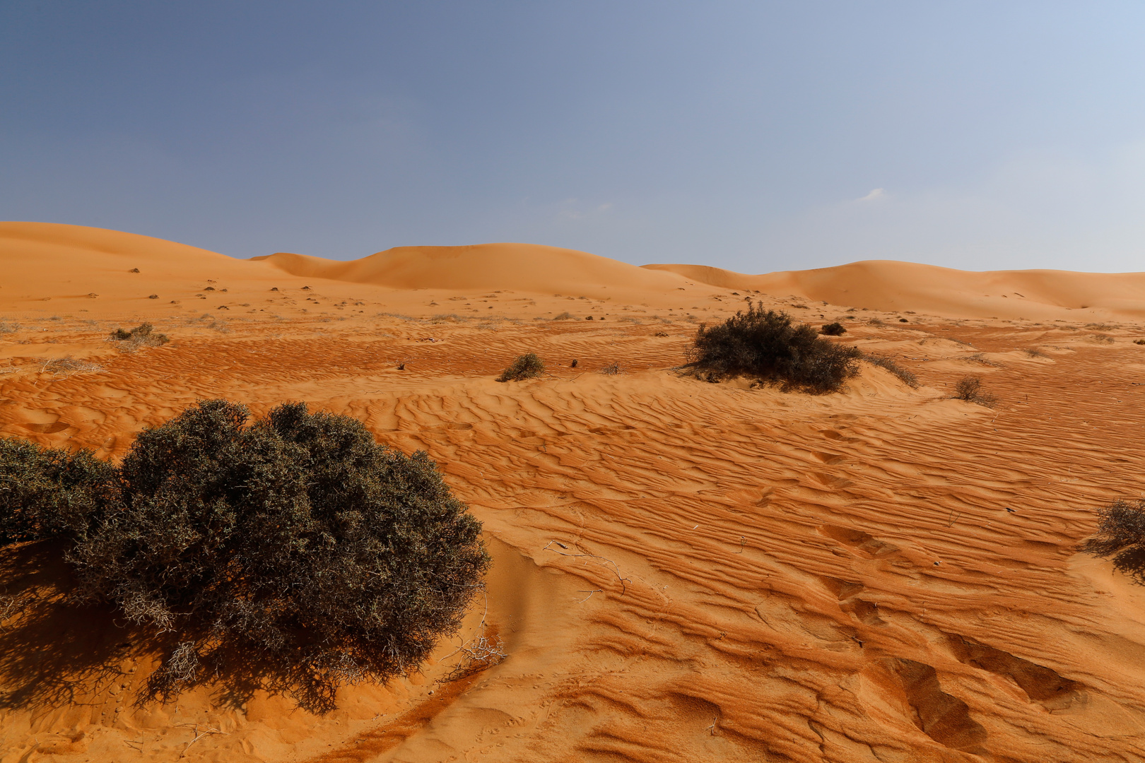 DESERT OMAN