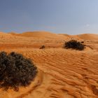 DESERT OMAN