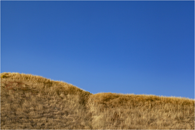 Desert Path 