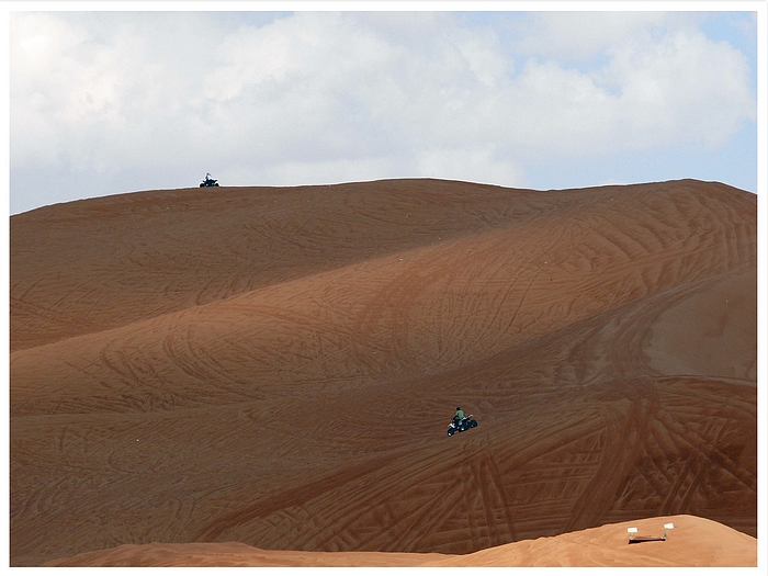 desert pattern