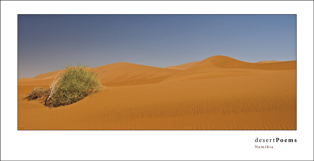 Desert Poems III