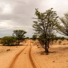 Desert Road