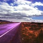 Desert Road - New Zealand