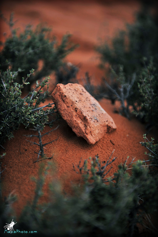 Desert Rocks