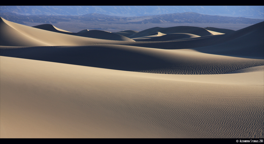 Desert Rose