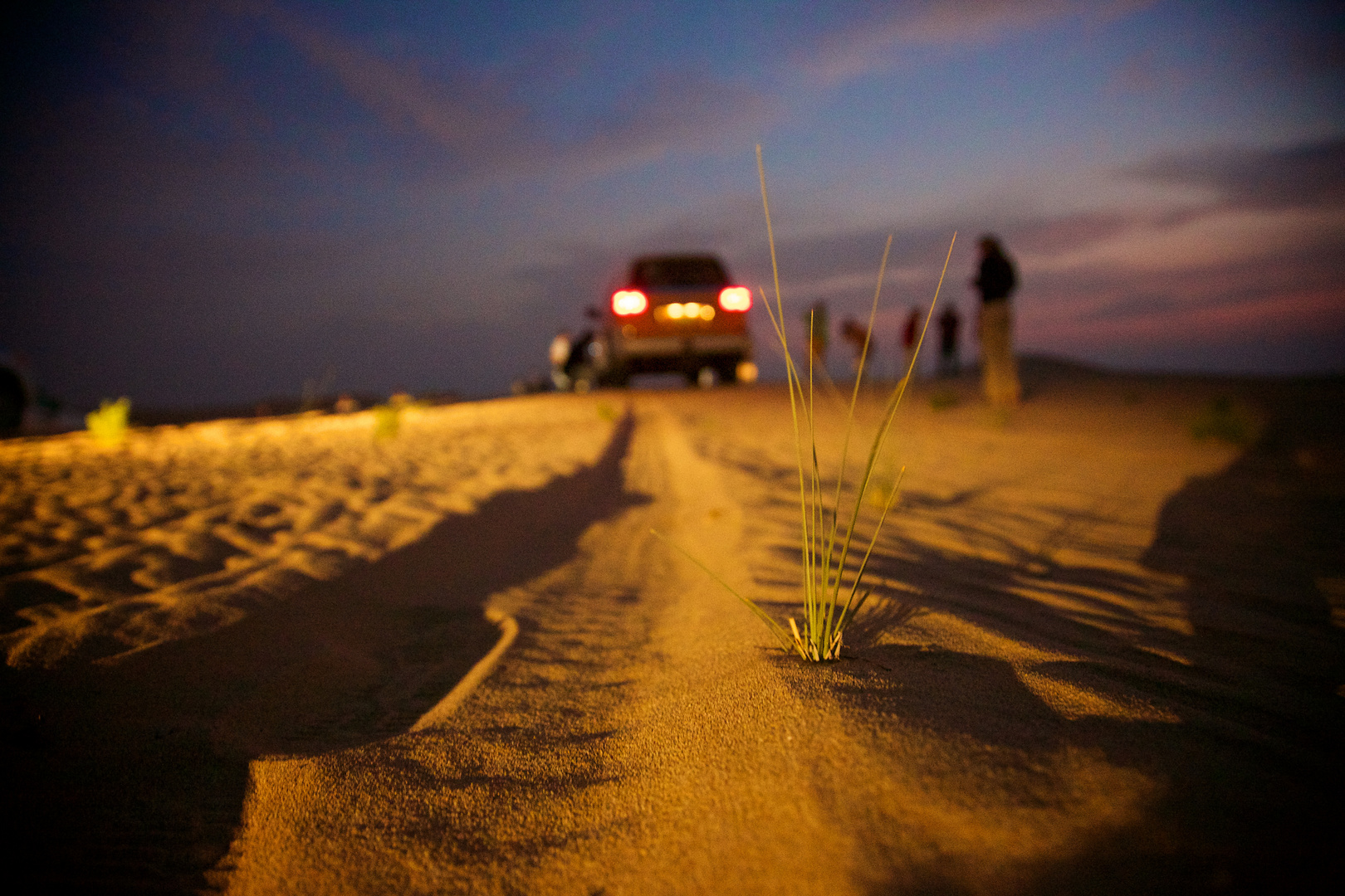 Desert Safari