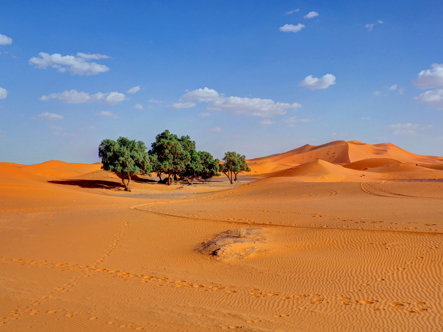 Desert Sahara