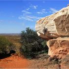 *** Desert Sculpter's of Broken Hill ***